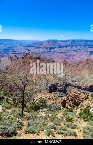 Tolle Aussicht auf den Desert View Wachtturm von Lipan Point im Grand Canyon, Arizona, USA Stockfoto