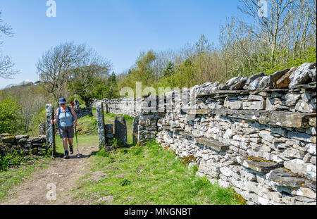 Traditionelle Trockenmauern walling und Holm. Stockfoto