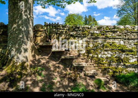 Steinstufen, Teil einer Steinmauer, die zu einem Fuß weg. Stockfoto