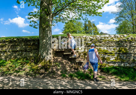 Steinstufen, Teil einer Steinmauer, die zu einem Fuß weg. Stockfoto