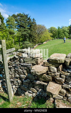 Steinstufen, Teil einer Steinmauer, die zu einem Fuß weg. Stockfoto