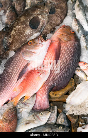 Verschiedene Arten von Fisch auf den Tisch zum Verkauf auf dem Markt angezeigt. Der Fisch ist mit Eis gemischt seine Frische zu bewahren. Stockfoto