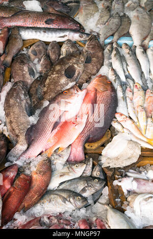 Verschiedene Arten von Fisch auf den Tisch zum Verkauf auf dem Markt angezeigt. Der Fisch ist mit Eis gemischt seine Frische zu bewahren. Stockfoto