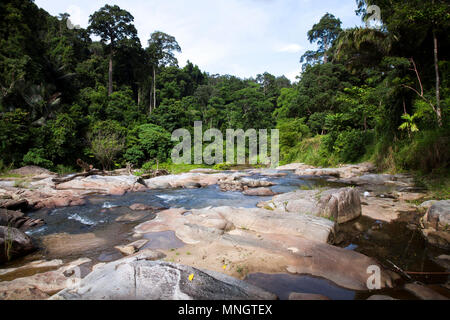 Ka Chong Wasserfall ist in Khao Chong botanischen Park auf dem Trang, Thailand Stockfoto