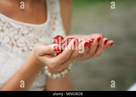 Weibliche Hände halten eine Handvoll roten Erdbeeren ohne Blätter. Beeren pflücken im Sommer, demonstrieren die Ernte. Gesunde Ernährung, Vegetarismus Stockfoto
