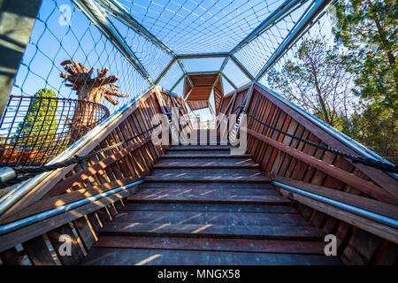 Die Bungarra Antenne Gehweg (aus recyceltem Holz) Rio Tinto am Naturescape in Kings Park, Perth, Western Australia. Stockfoto