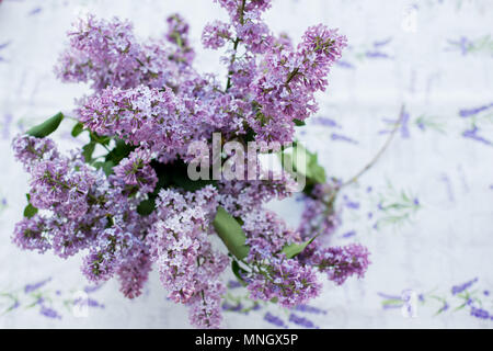 Flieder Strauß in der Vase auf dem Tisch Stockfoto
