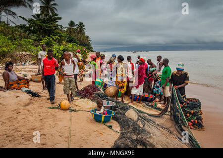 Yongoro, Sierra Leone - Juni 04, 2013: Westafrika, unbekannte Fischer ziehen Fischernetze an den Stränden von Yongoro vor der Hauptstadt der Sierr Stockfoto