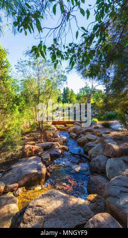 Der gebildete Mann Nebenfluß Rio Tinto am Naturescape in Kings Park. Stockfoto