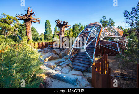 Die Bungarra Antenne Gehweg (aus recyceltem Holz) Rio Tinto am Naturescape in Kings Park, Perth, Western Australia. Stockfoto