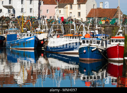 Angeln Hafen mit vielen Fischerbooten am Pittenweem im East Neuk von Fife, Schottland, Vereinigtes Königreich Stockfoto
