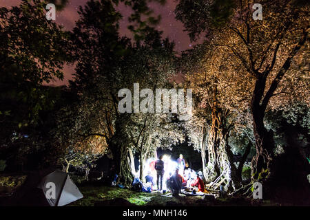 Wald markiert mit Lagerfeuer bei Nacht mit Sternen am Himmel Stockfoto