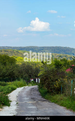 Schmale dorfstraße zwischen grünen Gärten. Sommer Landschaft mit Landstraße und die bewaldeten Hügel in der Ferne gegen bewölkt blauer Himmel Stockfoto