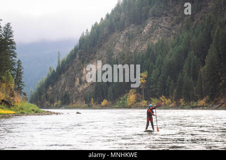 Mann paddleboarding am Snake River mit Blick auf die Berge in der Ferne, Jackson, Wyoming, USA Stockfoto