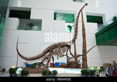 Drei sauropoden Dinosaurier (Diplodocus) aus dem Jura in einer Anzeige an die China Museum für Wissenschaft und Technologie in Peking, China. Stockfoto