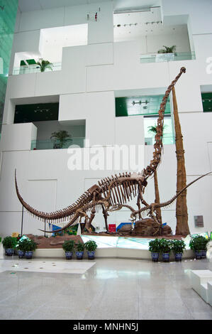 Drei sauropoden Dinosaurier (Diplodocus) aus dem Jura in einer Anzeige an die China Museum für Wissenschaft und Technologie in Peking, China. Stockfoto