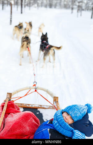 Husky Hunde ziehen Schlitten mit einem Kind im Winter Forest in Lappland Finnland Stockfoto