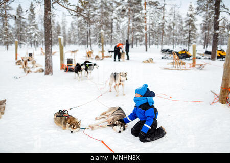 Adorable kleine Mädchen mit einem Kuscheln mit Husky Schlittenhund in Lappland Finnland Stockfoto