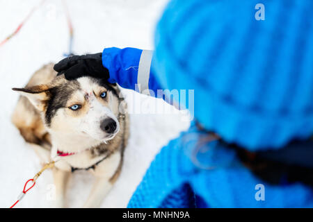 Adorable kleine Mädchen mit einem Kuscheln mit Husky Schlittenhund in Lappland Finnland Stockfoto