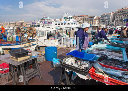 Fischer Verkauf von Fisch am Hafen Vieux Port, Marseille, Bouches-du-Rhône der Region Provence-Alpes-Côte d'Azur, Südfrankreich, Frankreich, Europa Stockfoto