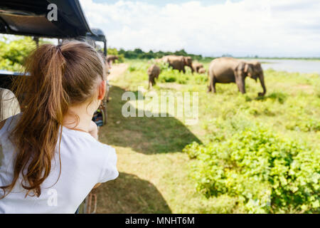 Rückansicht des entzückenden kleinen Mädchen auf Safari in Sri Lanka Elefanten beobachten von offenen Fahrzeug Stockfoto