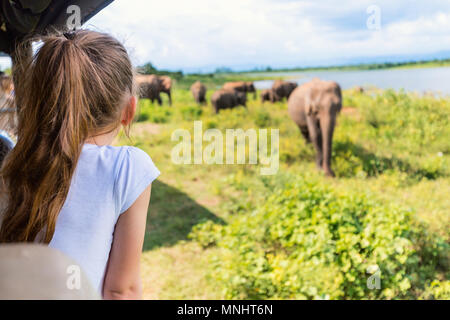 Rückansicht des entzückenden kleinen Mädchen auf Safari in Sri Lanka Elefanten beobachten von offenen Fahrzeug Stockfoto