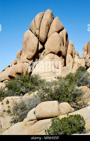 Monzogranite rock Pile, Jumbo Rocks, Joshua Tree National Park, CA 040410 0707 Stockfoto