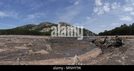 Getrocknete See mit toten Bäumen auf Korsika. Panoramaaussicht Stockfoto