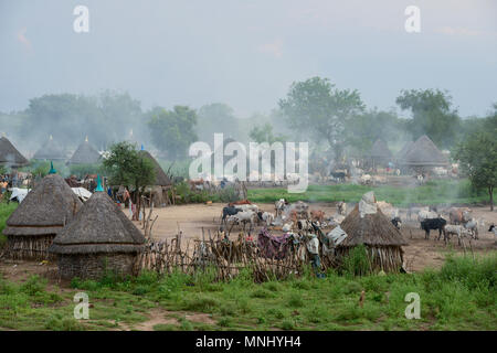 Äthiopien, Gambela, Region Itang, Dorf der ethnischen Gruppe Nuer, Kühe in Rinder-Lager in der Abend-/AETHIOPIEN, Gambela, Region Itang, Ethnie NUER, Dorf, abends Rinder kommen vom Weideland Stockfoto