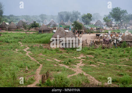 Äthiopien, Gambela, Region Itang, Dorf der ethnischen Gruppe Nuer, Kühe in Rinder-Lager in der Abend-/AETHIOPIEN, Gambela, Region Itang, Ethnie NUER, Dorf, abends Rinder kommen vom Weideland Stockfoto