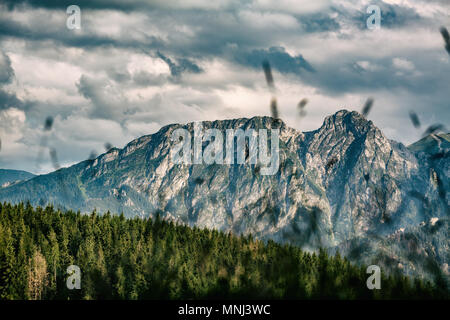 Giewont Berg, inspirierende Berge Landschaft, schöner Tag im Sommer Tatra, Blumen und Mountain Ridge über blauen Himmel in Zakopane, Polen Stockfoto