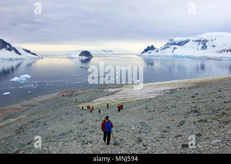 Gruppe von Wanderern mit Gentoo Pinguine, Antarktische Halbinsel Stockfoto