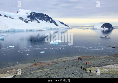 Gruppe von Wanderern mit Gentoo Pinguine, Antarktische Halbinsel Stockfoto