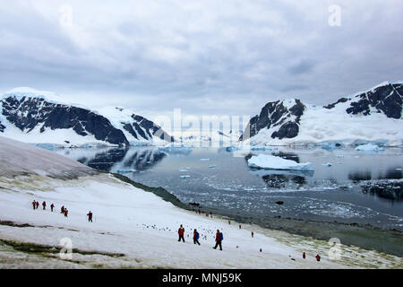 Gruppe von Wanderern mit Gentoo Pinguine, Antarktische Halbinsel Stockfoto