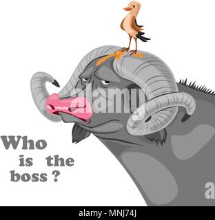 Vogel sitzt auf einem Büffel Kopf Vektor. Wer ist der Boss Konzept. Lustige comic Illustration Stock Vektor