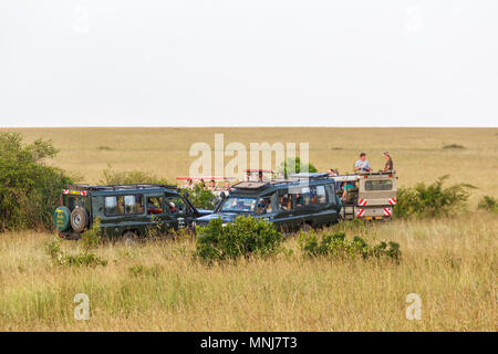 Safari Pirschfahrt auf der Savanne in Masai Mara, Kenia Stockfoto