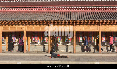 Tibetischen pilgern drehenden Gebetsmühlen und Niederwerfungen, Labrang Monastery, Xiahe, Gansu, China Stockfoto