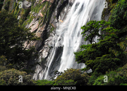 Der wunderschöne Lady Bowen fällt im Milford Sound auf der Südinsel Neuseelands. Stockfoto