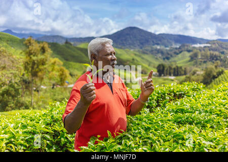 Alter Mann am Tee Plantage region, Cameron Highlands, Malaysia Stockfoto