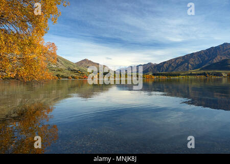 Glendhu Bay, Lake Wanaka, Otago, Südinsel, Neuseeland Stockfoto