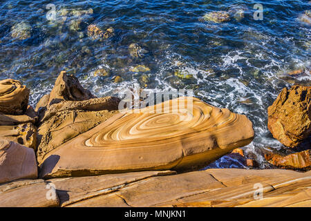 Schön paterned Hawksbury Sandstein in Maitland Bay, die dekorative braune Linien und Markierungen sind durch eisenhaltige Wasser gebildet worden und sind bekannt als Stockfoto