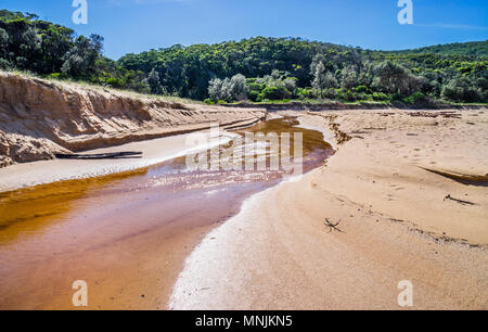 Der Überlauf der Maitland Bay Lagune bildet einen Stream über den Strand, Bouddi National Park, Central Coast, New South Wales, Australien Stockfoto