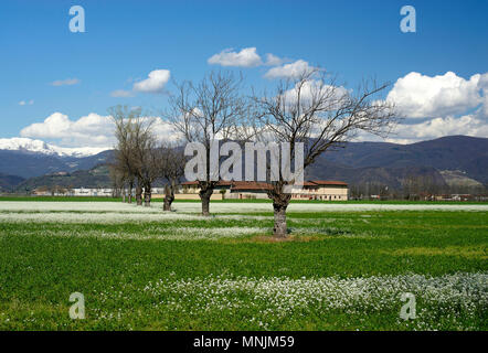 Paderno Franciacorta (Bs), Lombardei, Italien, Ansicht der Kampagne im März Stockfoto