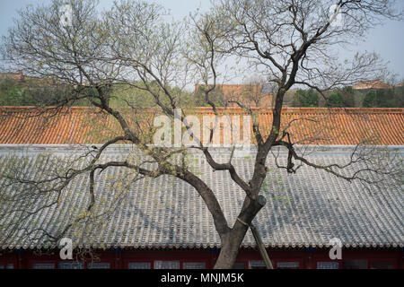 Verbotene Stadt-Beijing-China Stockfoto
