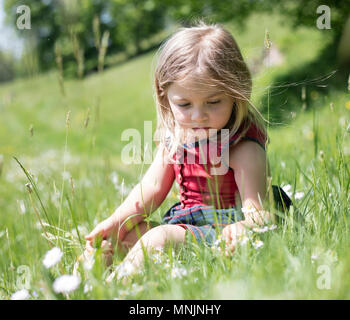 Kleines Mädchen saß in einer Blumenwiese, Oberbayern, Bayern, Deutschland Stockfoto