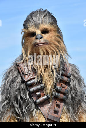 Chewbacca Teilnahme am Fotoshooting für Solo: ein Star Wars Geschichte Am Trafalgar St. James, London. Stockfoto