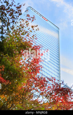 HSBC Bank Canary Wharf London Hauptsitz in 8 Canada Square, bis zu blauen Himmel mit herbstlichen Bäume, London, UK Stockfoto