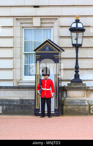 Sentry der Grenadier Guards, Queens Guard Scots Guards, außerhalb der Buckingham Palace, der Residenz der Königin, London, England, Vereinigtes Königreich Stockfoto