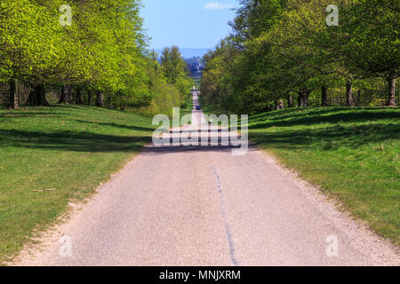 England, North Yorkshire, Ripon. Fountains Abbey, Studley Royal. UNESCO-Weltkulturerbe. National Trust, Zisterzienserkloster. Grundstück. Stockfoto