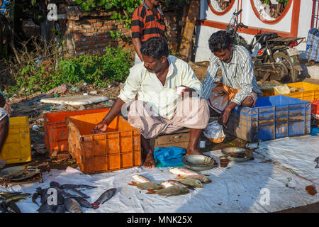 Am Straßenrand Markt für frisch gefangenen Fisch Fluss in der Nähe von Thanjavur, früher Tanjore, eine Stadt im südindischen Bundesstaat Tamil Nadu, Indien Stockfoto